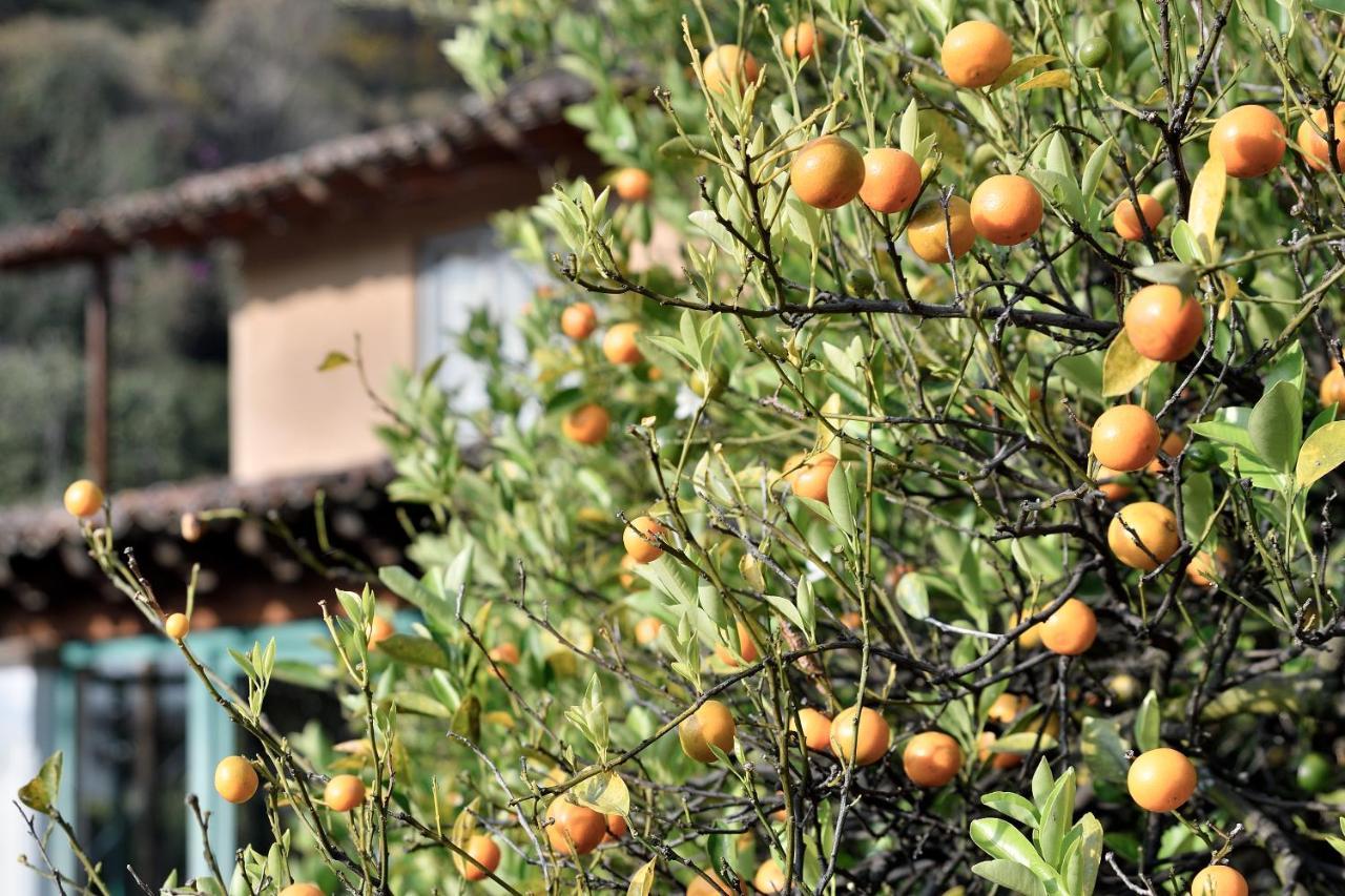 Quinta Cielo - Hotel Boutique Y Restaurante Malinalco Kültér fotó