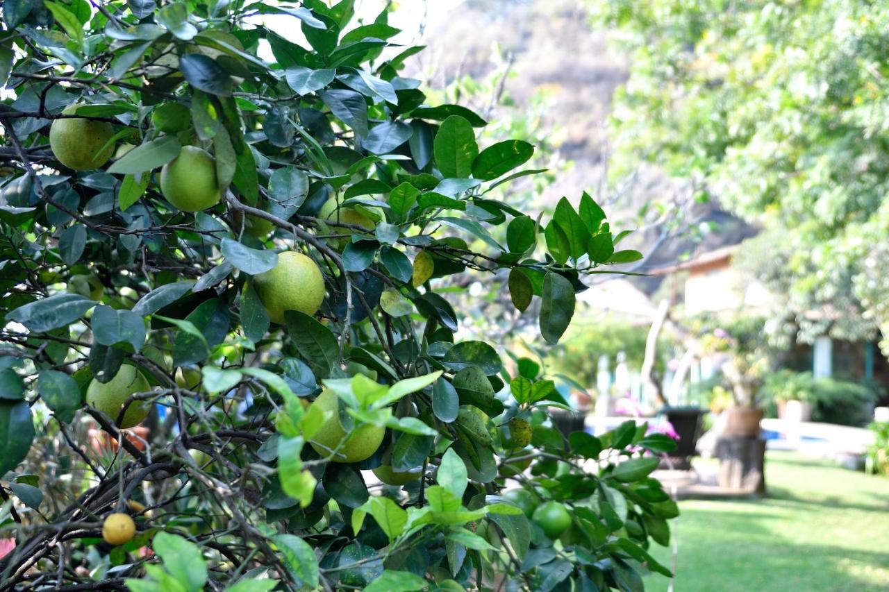 Quinta Cielo - Hotel Boutique Y Restaurante Malinalco Kültér fotó
