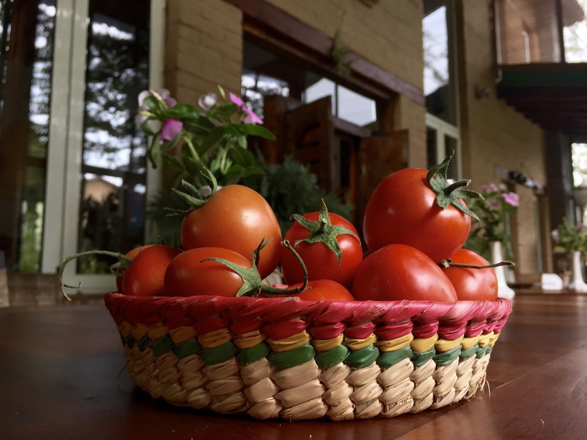 Quinta Cielo - Hotel Boutique Y Restaurante Malinalco Kültér fotó